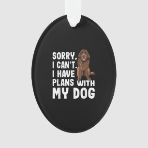 Sorry I Cant I Have Plans With My Newfoundland Dog Ornament