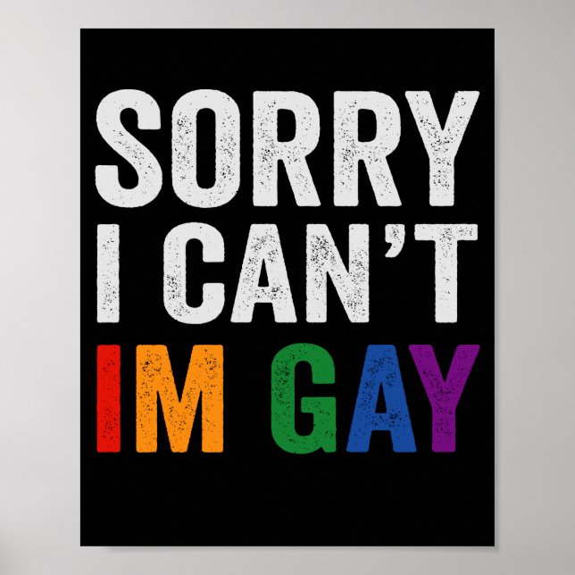 Sorry I Can't I'm Gay Funny Pride Month Gift Poster (Front)