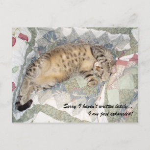 Sorry I haven't written lately... Postcard