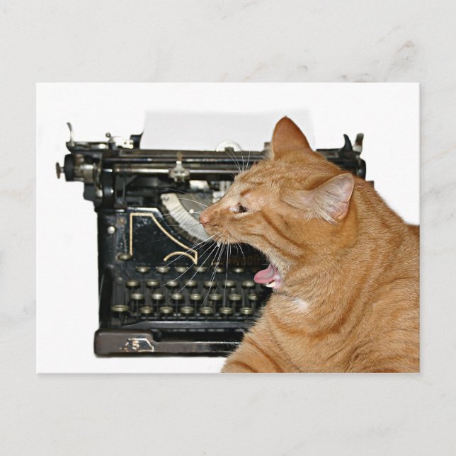 Sorry I haven't written Postcard (Front)