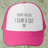 Sorry I'm Late, I Saw A Cat