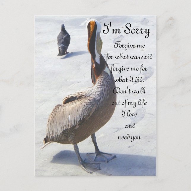 Sorry_ Postcard (Front)