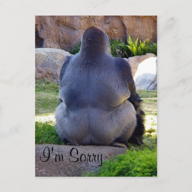 Sorry_ Postcard (Front)
