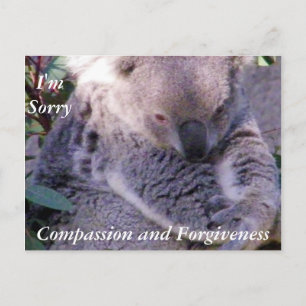 Sorry_Postcard Postcard