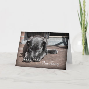 Sorry Puppy Greeting Card