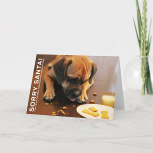 Sorry Santa Holiday Card