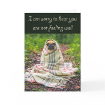 Sorry to hear you are not well, Pug in blanket,