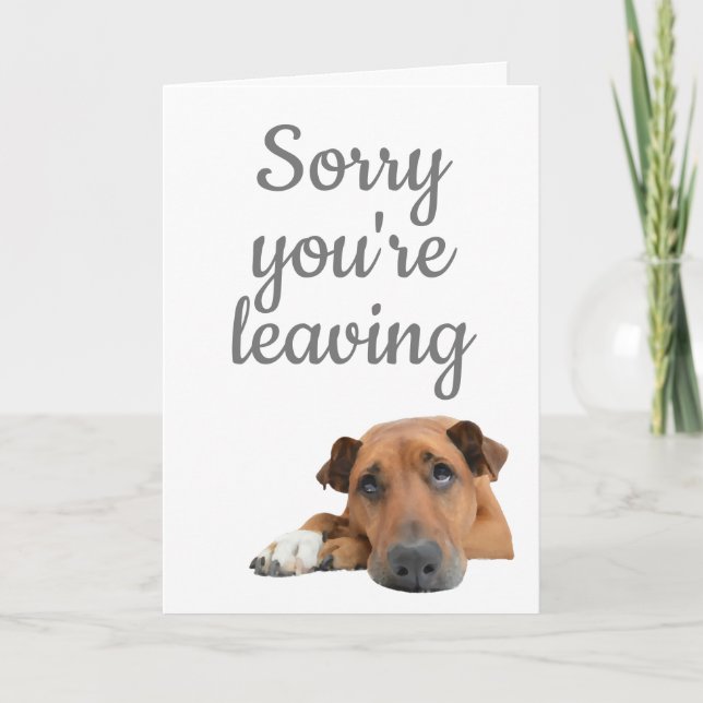 Sorry you're leaving sad dog blank card (Front)