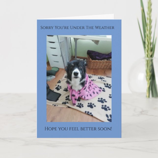 Sorry You're Under The Weather quality Collie Card (Front)