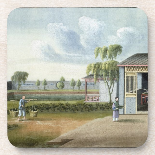 Sorting tea (w/c on paper) coaster (Front)