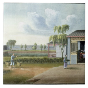 Sorting tea (w/c on paper) tile