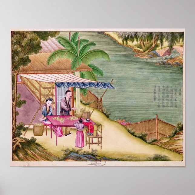 Sorting the Cocoons Poster (Front)