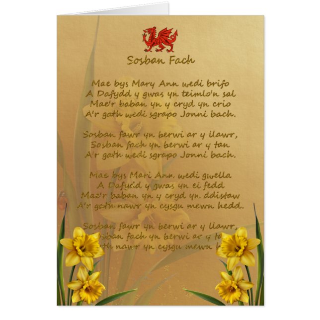 Sosban Fach Welsh Song (Front)