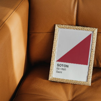 Soton Saint - White Border Poster