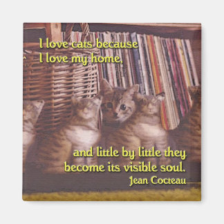 Soul of a Home Cat Magnet