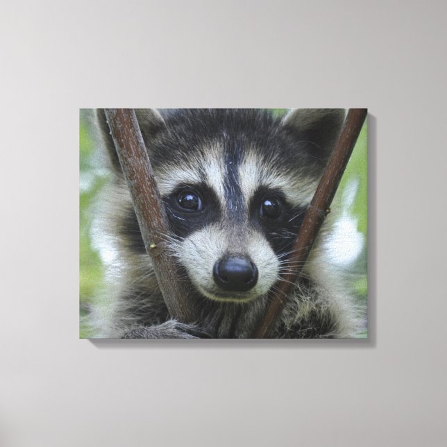 Soulful eyes canvas print (Front)