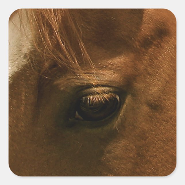 Soulful Horse Eye Square Sticker (Front)