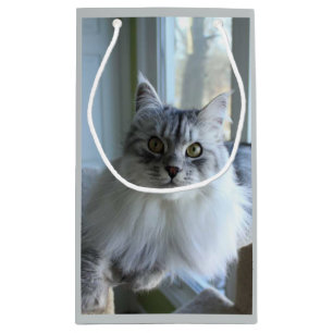 Soulful Silver Siberian Cat Gift Bag