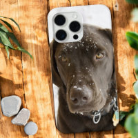 Soulful Snow Sprinkled Chocolate Labrador  Case-Ma