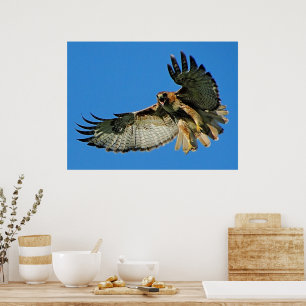 Sound the Alert Framed Print
