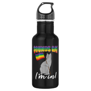 Sounds Gay I'm In Cat 532 Ml Water Bottle