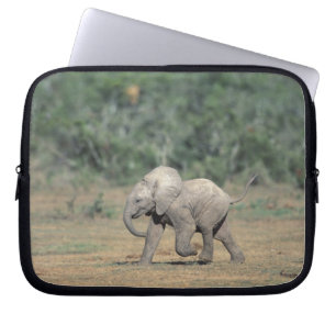 South Africa, Addo Elephant Nat'l Park. Baby Laptop Sleeve