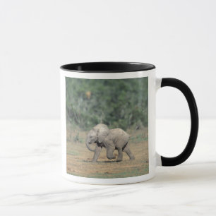 South Africa, Addo Elephant Nat'l Park. Baby Mug