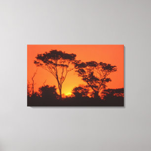South Africa.  African sunset. Canvas Print