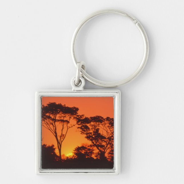 South Africa.  African sunset. Key Ring (Front)