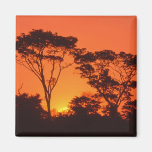 South Africa. African sunset. Magnet