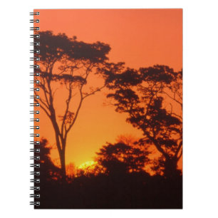 South Africa.  African sunset. Spiral Notebook