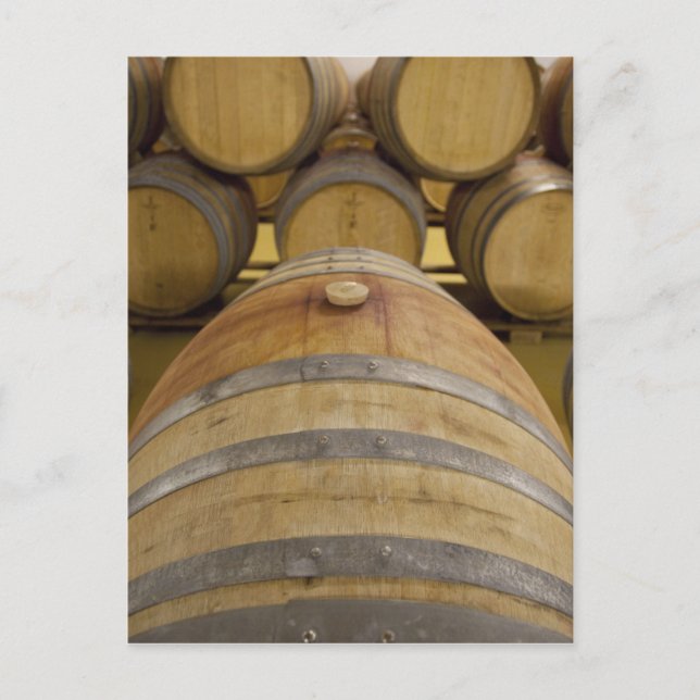 South Africa, Cape Town. Stellenbosch wine area, Postcard (Front)