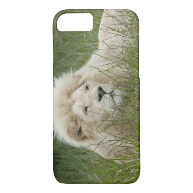 South Africa, East London, Inkwenkwezi Private Case-Mate iPhone Case (Back)