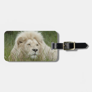 South Africa, East London, Inkwenkwezi Private Luggage Tag