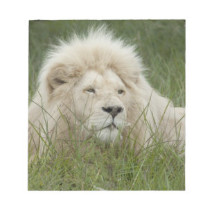 South Africa, East London, Inkwenkwezi Private Notepad