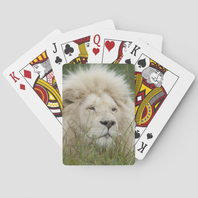 South Africa, East London, Inkwenkwezi Private Playing Cards (Back)