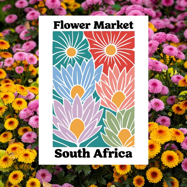 South Africa Flower Market Colorful Proteas Postcard (South Africa Flower Market Colorful Proteas Postcard)