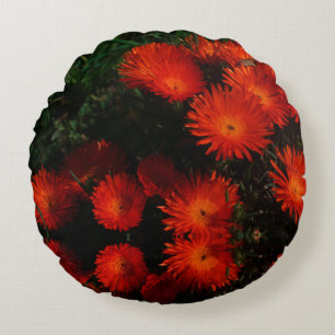 South Africa Green Orange Succulent Flowers Round Cushion