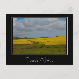 South Africa Landscape Nature Scenery Postcard