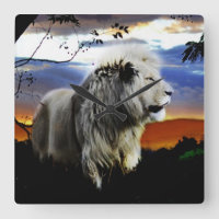 South Africa Lion in the Jungle