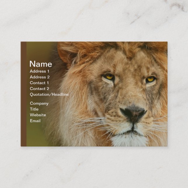 South Africa Majestic Lion Close up Business Card (Front)