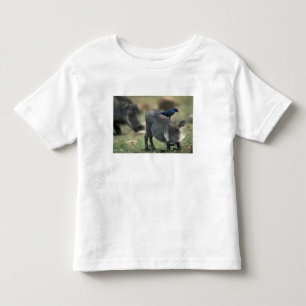 South Africa, Pilanesburg GR, Warthog Toddler T-Shirt