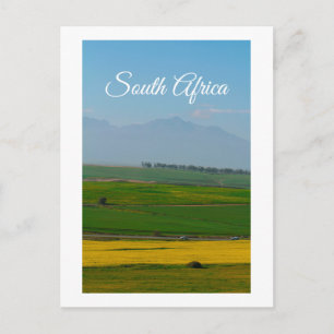 South Africa Rural Canola Landscape Mountains SA Postcard