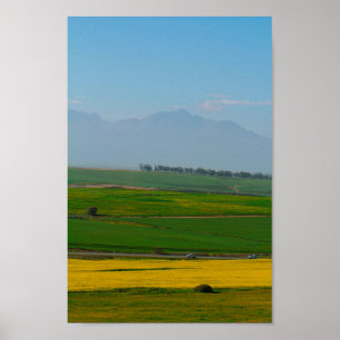 South Africa Rural Landscape Canola Fields N7 Poster