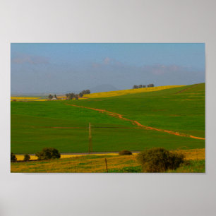 South Africa Rural Landscape Canola Fields Poster