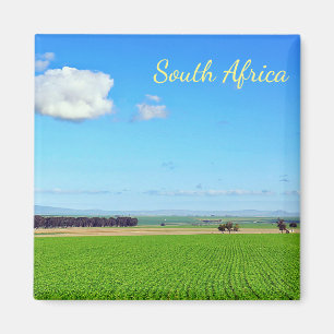 South Africa Vineyard Fields Landscape Magnet