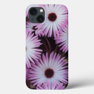 South Africa, Western Cape Province iPhone 13 Case