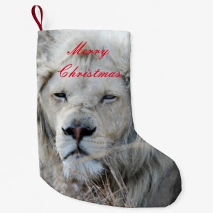 South Africa White Lion resting Small Christmas Stocking