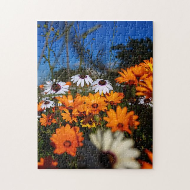 South Africa Wild Namaqualand Flowers Jigsaw Puzzle (Vertical)