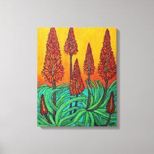 South African Fireball 16" x 20" Wrapped Canvas